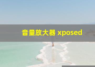 音量放大器 xposed